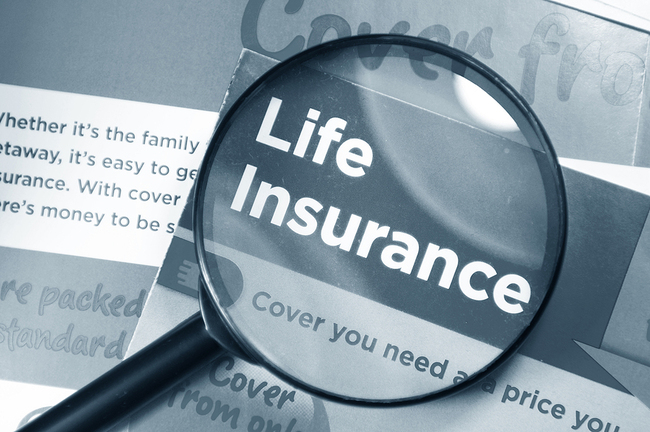 Life Insurance Options