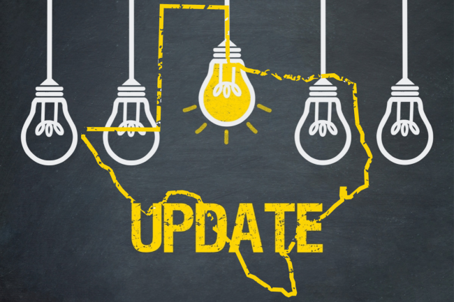 Update on D-SNPs and the Great Unwinding in Texas
